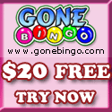 Bingo Lingo Terminology